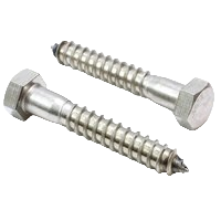 Lag Screw