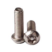 Security Screw