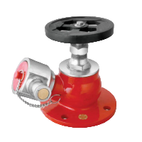 Irrigation, Gas & Fire Valves