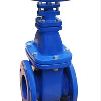 Industrial Gate Valves