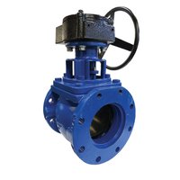 Eccentric Plug Valves