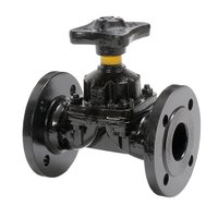 Weir Type Diaphragm Valves
