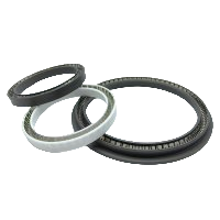 Hydraulic & Pneumatic Seals