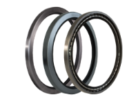 Specialized / Heavy-Duty Seals