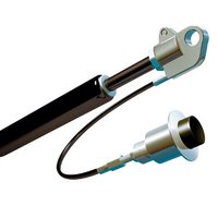 Gas & Strut Springs