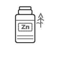 Zinc Fertilizers