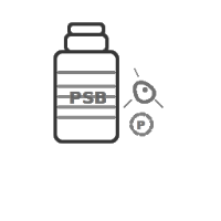 Phosphate Solubilizing Biofertilizers