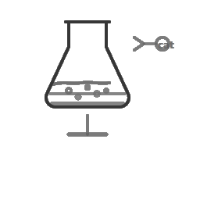 Homogeneous Catalysts