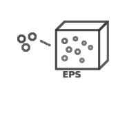 Expandable Polystyrene