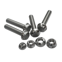 Anti-theft Bolts