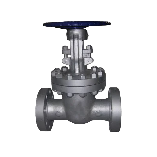 Cast Steel Gate Valve