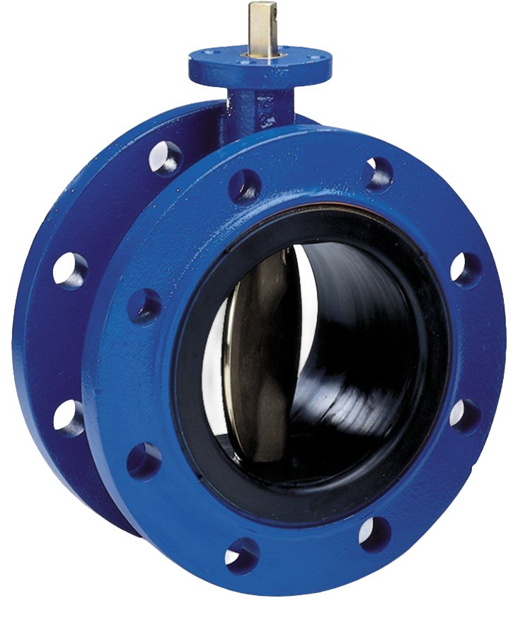 Concentric Butterfly Valve