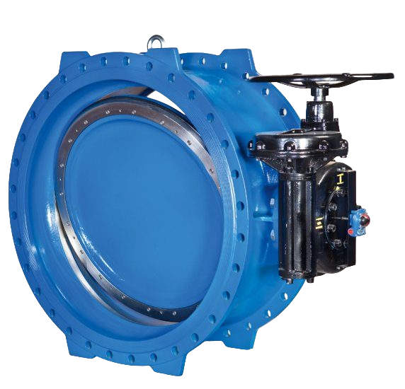 Double Eccentric Valve