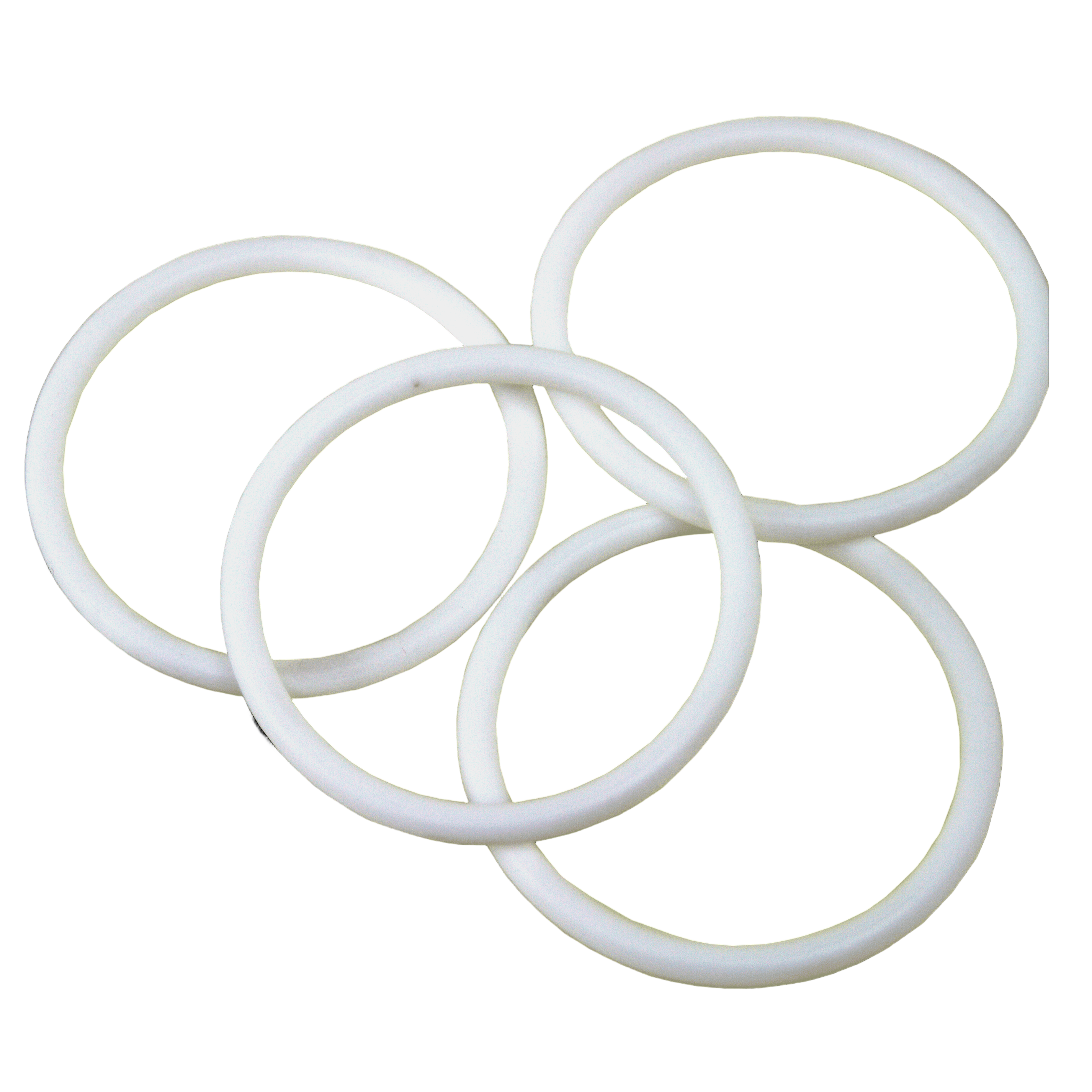 PTFE O-Ring