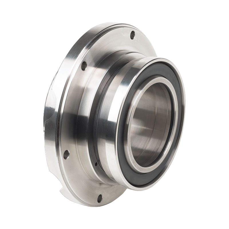 Slurry Mechanical Seal