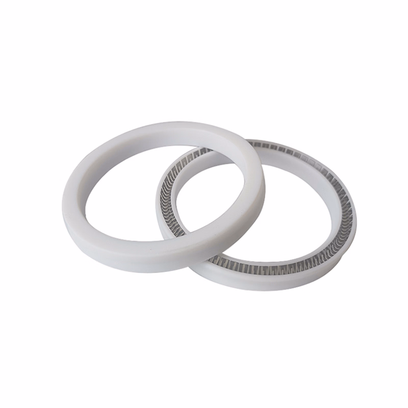 Spring-Energised PTFE Seal