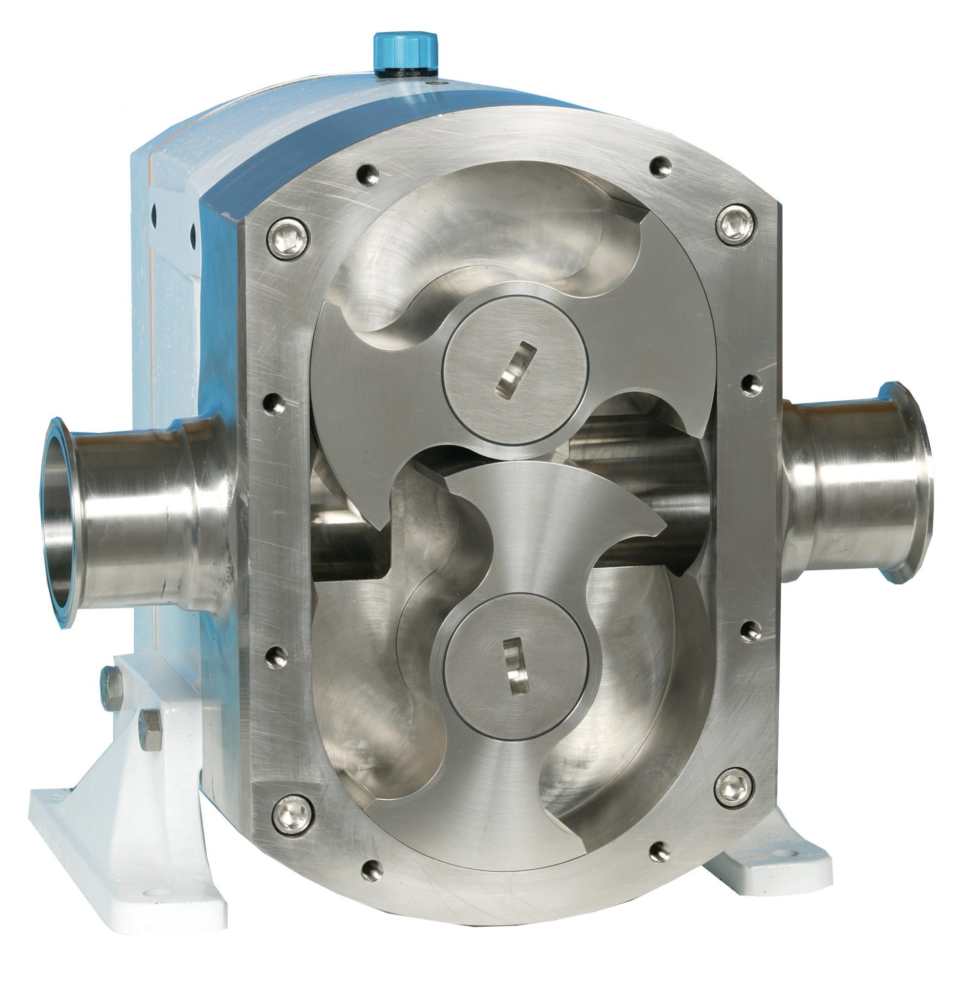 Lobe Pump